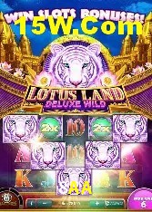 Programa VIP 8AA